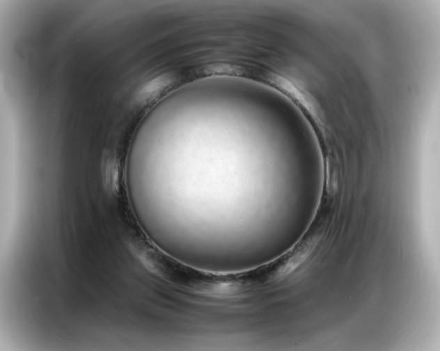 X0000087060157200704181305