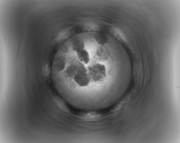 X0000087060173200704181306