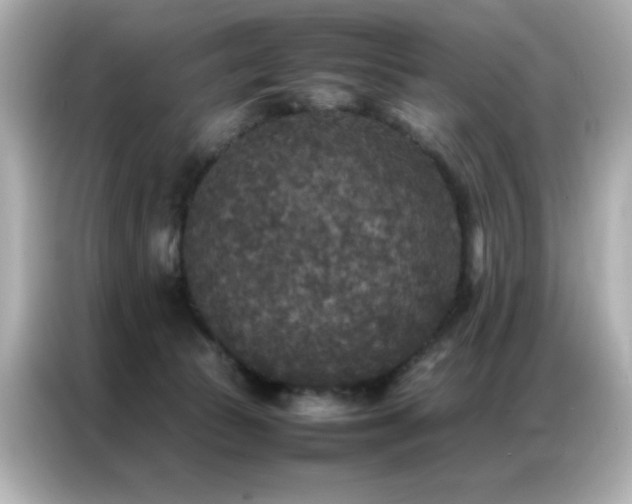 X0000087060177200704181306