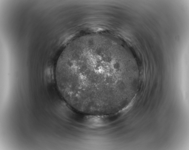 X0000087060182200704181306