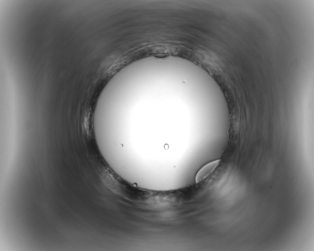 X0000087060185200704181306