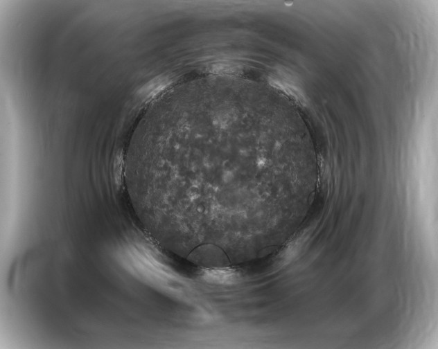 X0000087060189200704181306