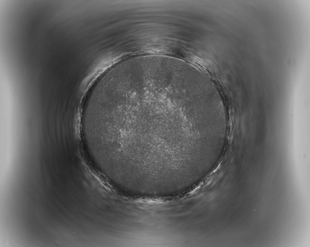 X0000087060194200704181305