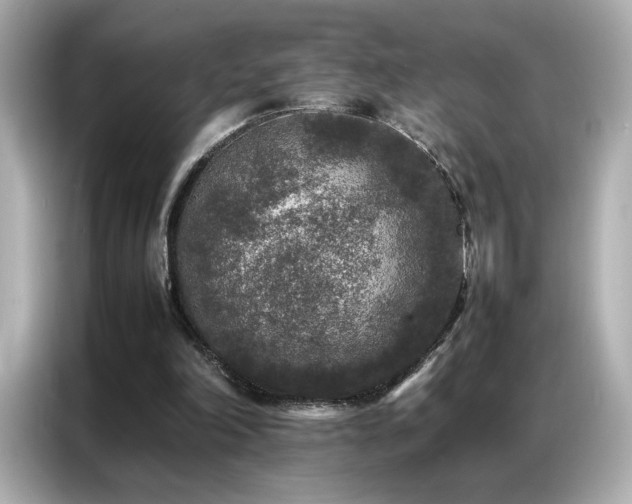 X0000087060198200704181305