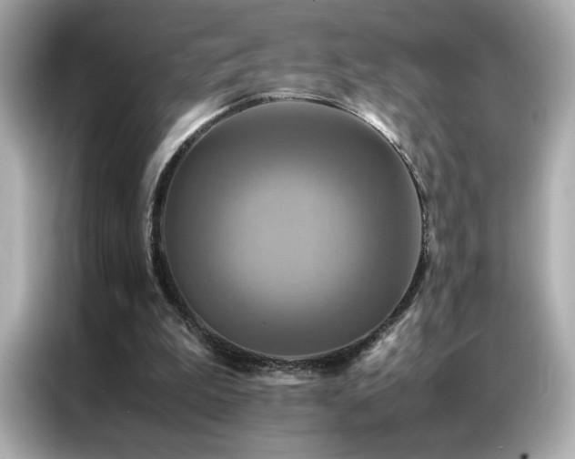 X0000087060199200704181305