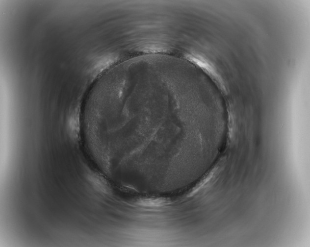 X0000087060202200704181305