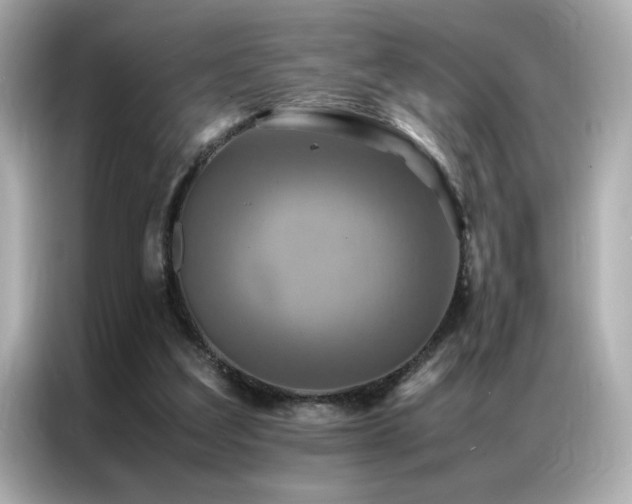 X0000087060203200704181305