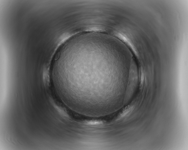 X0000087060204200704181305