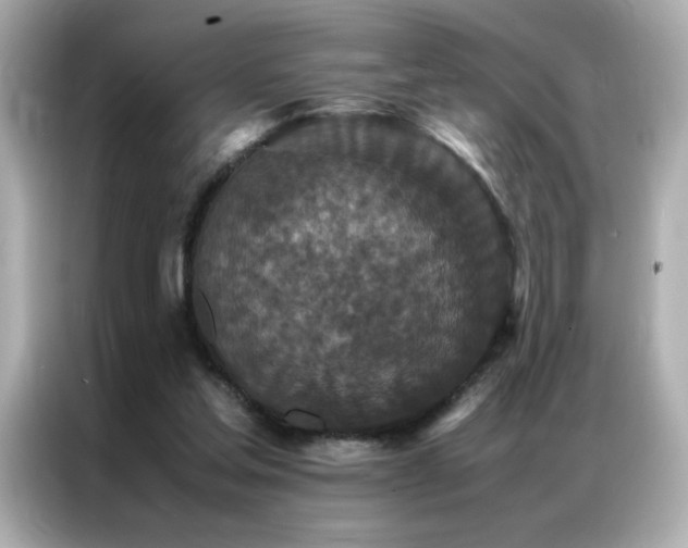 X0000087060205200704181305