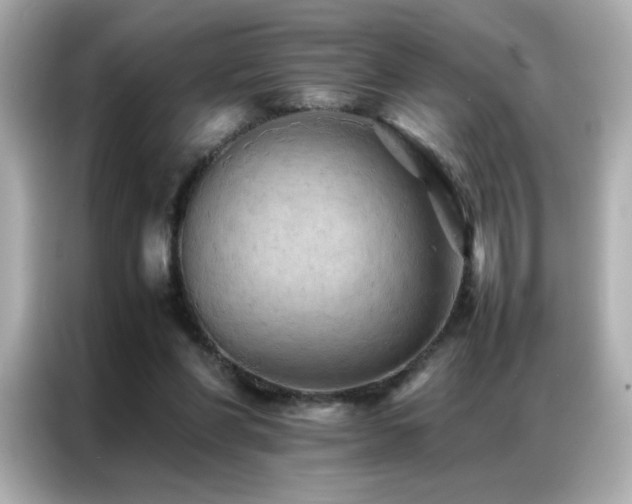 X0000087060206200704181305