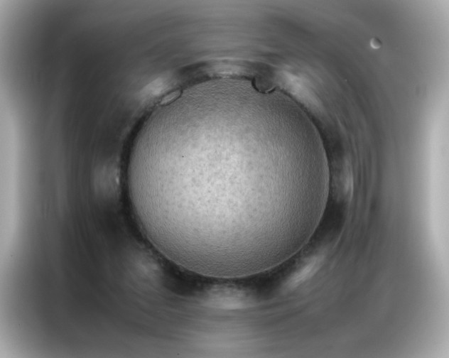 X0000087060207200704181305