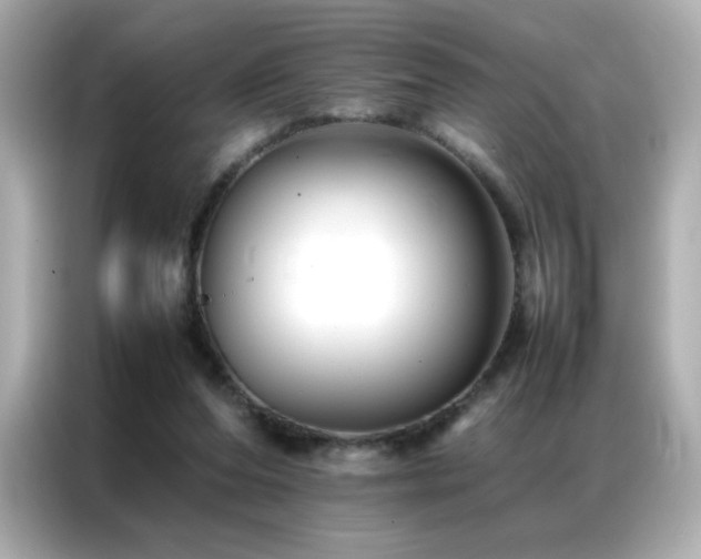 X0000087060208200704181305