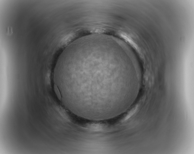 X0000087060209200704181305