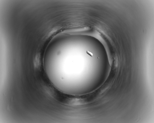 X0000087060212200704181305