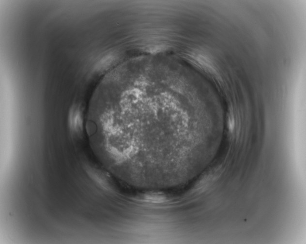 X0000087060214200704181305