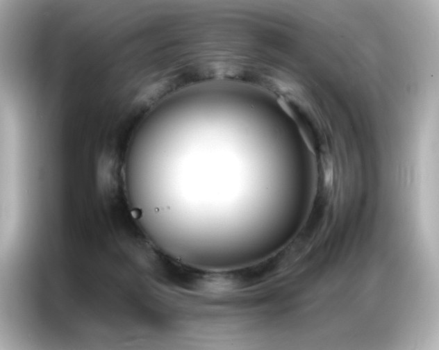 X0000087060218200704181305