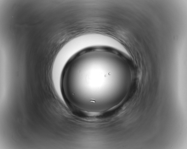 X0000087060219200704181305