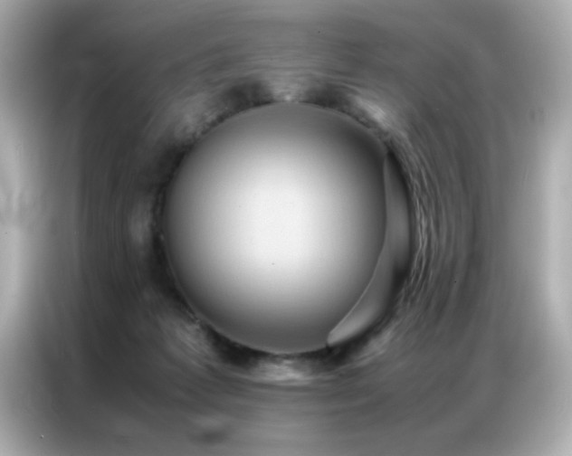 X0000087060221200704181305