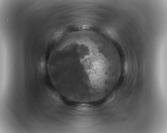 X0000087060222200704181305