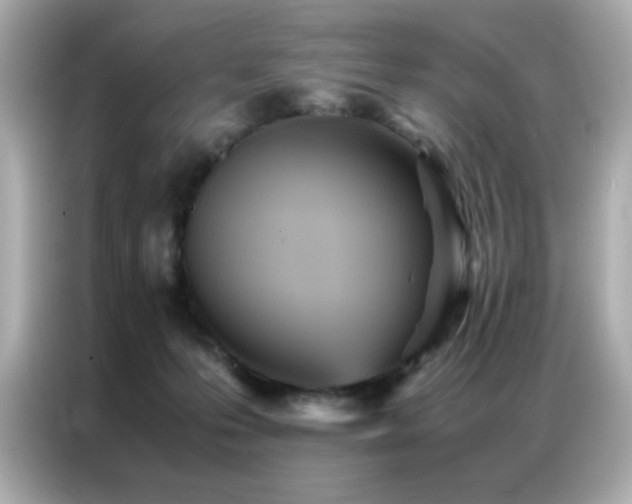 X0000087060223200704181305