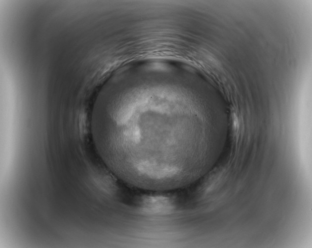 X0000087060224200704181305