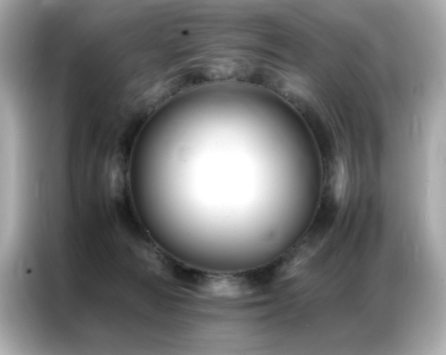 X0000087060226200704181305