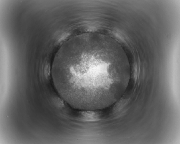 X0000087060230200704181305