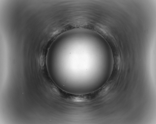 X0000087060232200704181305