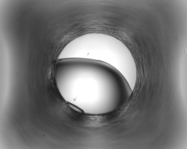 X0000087060233200704181305