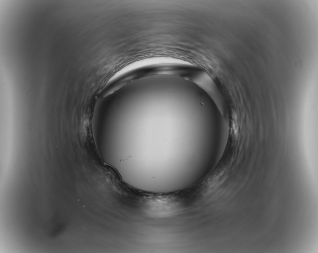 X0000087060235200704181305