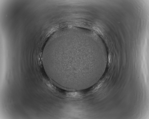 X0000087060237200704181305