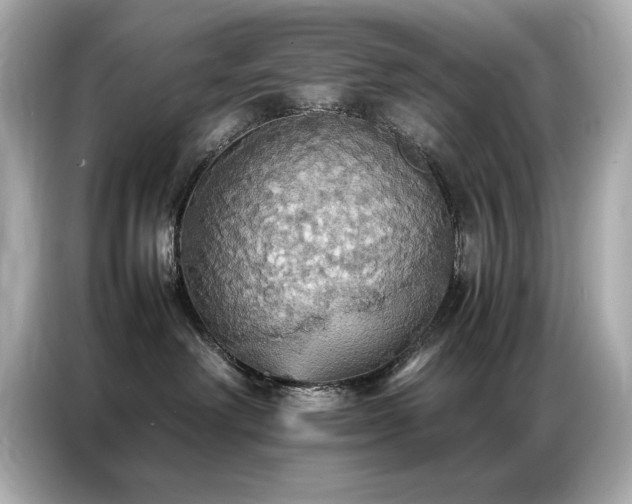 X0000087060238200704181305