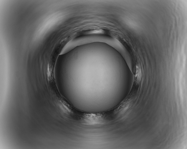 X0000087060239200704181305