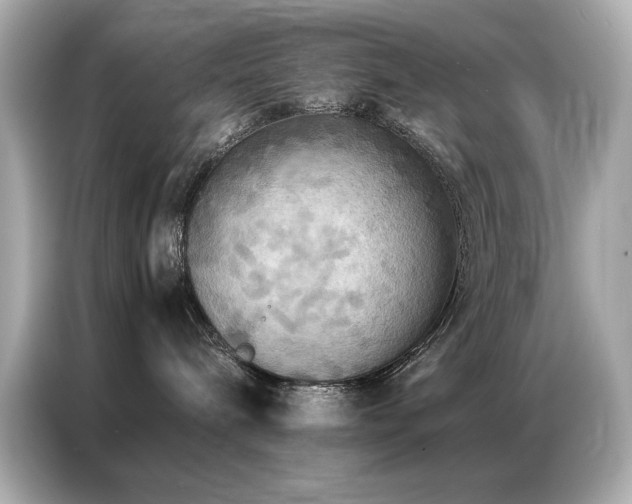 X0000087060240200704181305