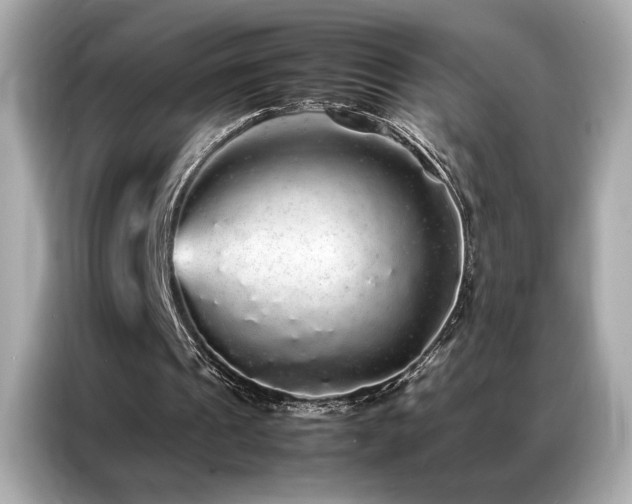 X0000087060241200704181304