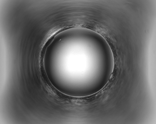 X0000087060242200704181304