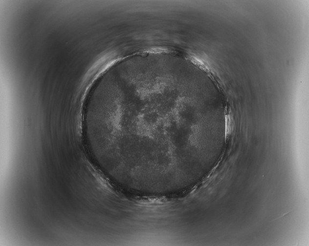 X0000087060243200704181304