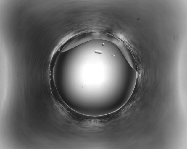 X0000087060244200704181304