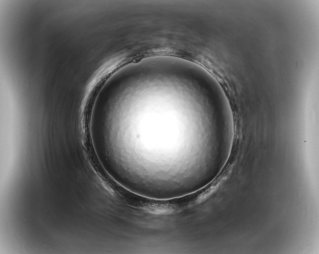 X0000087060245200704181304