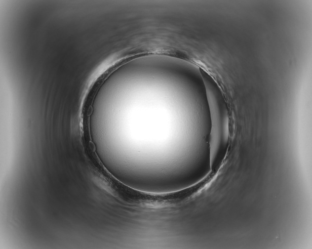 X0000087060246200704181304