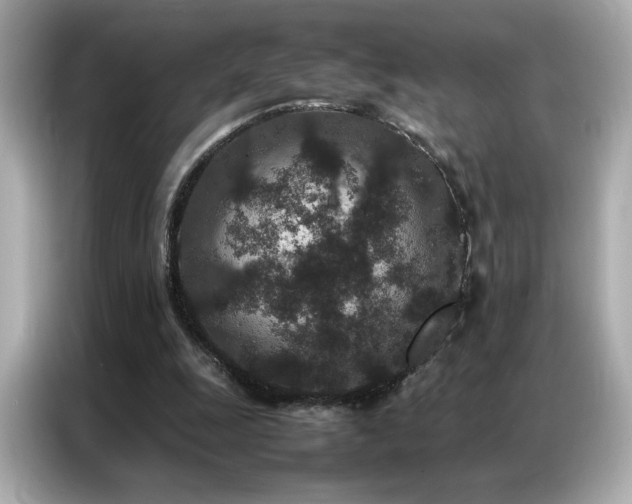 X0000087060247200704181304