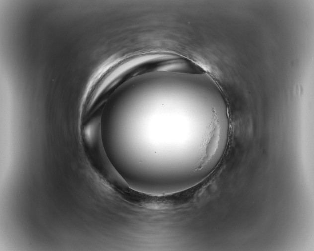 X0000087060248200704181304