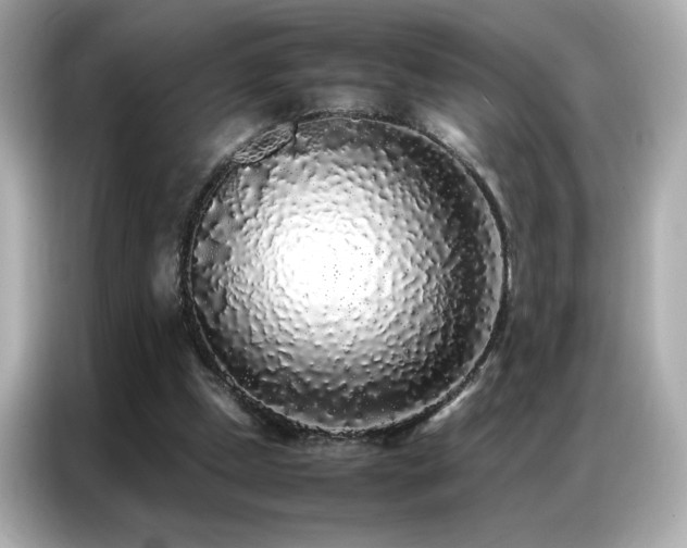 X0000087060249200704181304