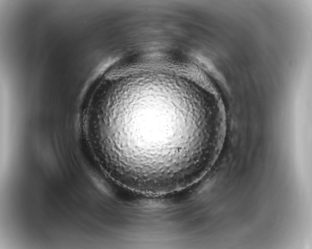 X0000087060250200704181304