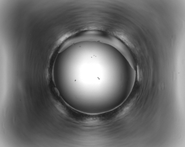 X0000087060252200704181304