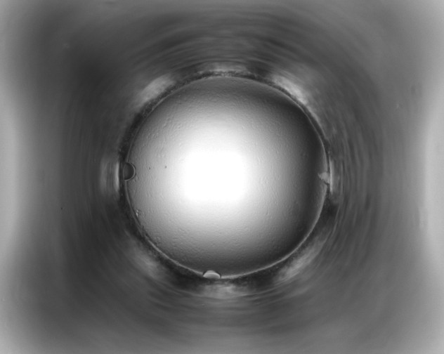 X0000087060253200704181304