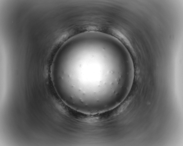 X0000087060257200704181304