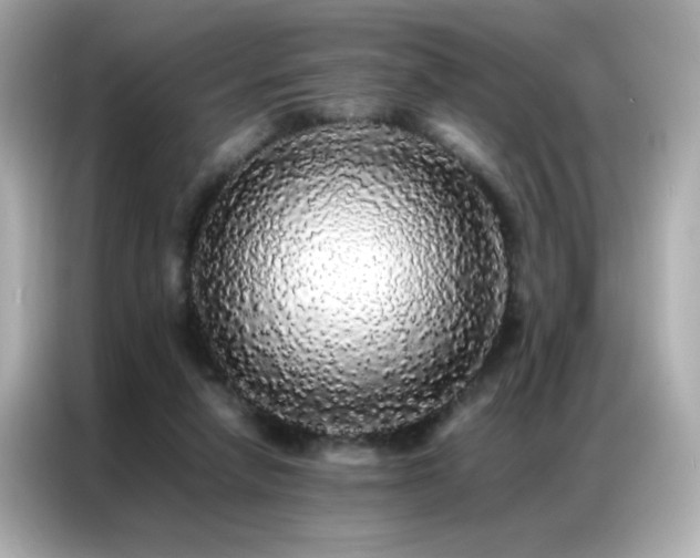 X0000087060258200704181304