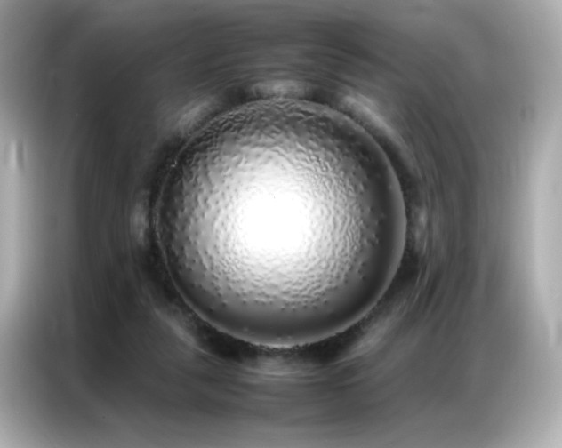 X0000087060259200704181304