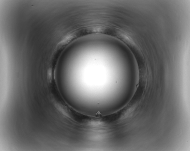 X0000087060262200704181304